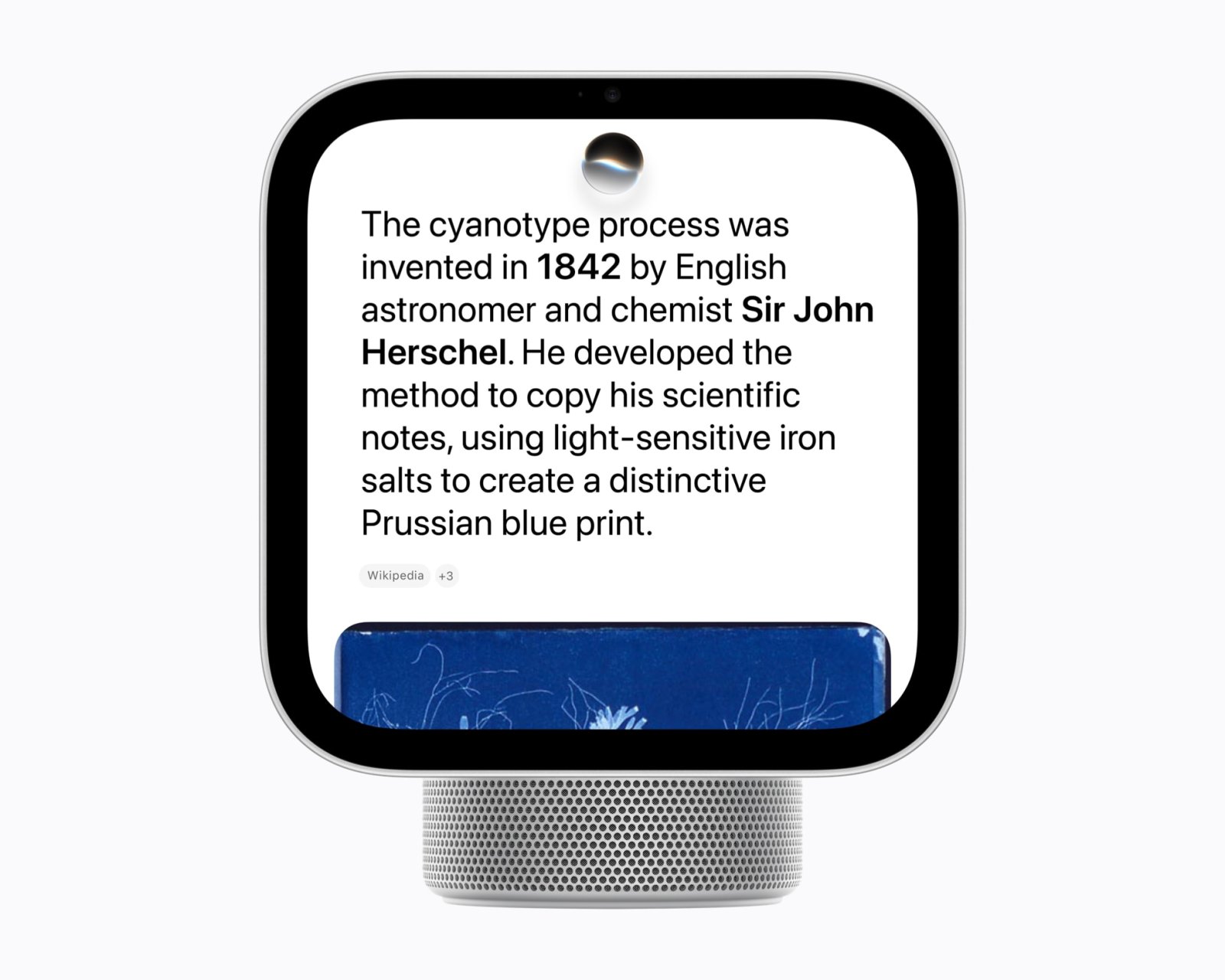 HomeView'da Siri AI yanıtı