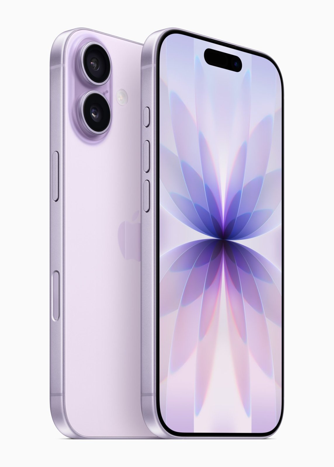 iPhone 17, 6,3 inç ProMotion ekran ve iki 48 MP arka kamerayla geliyor.