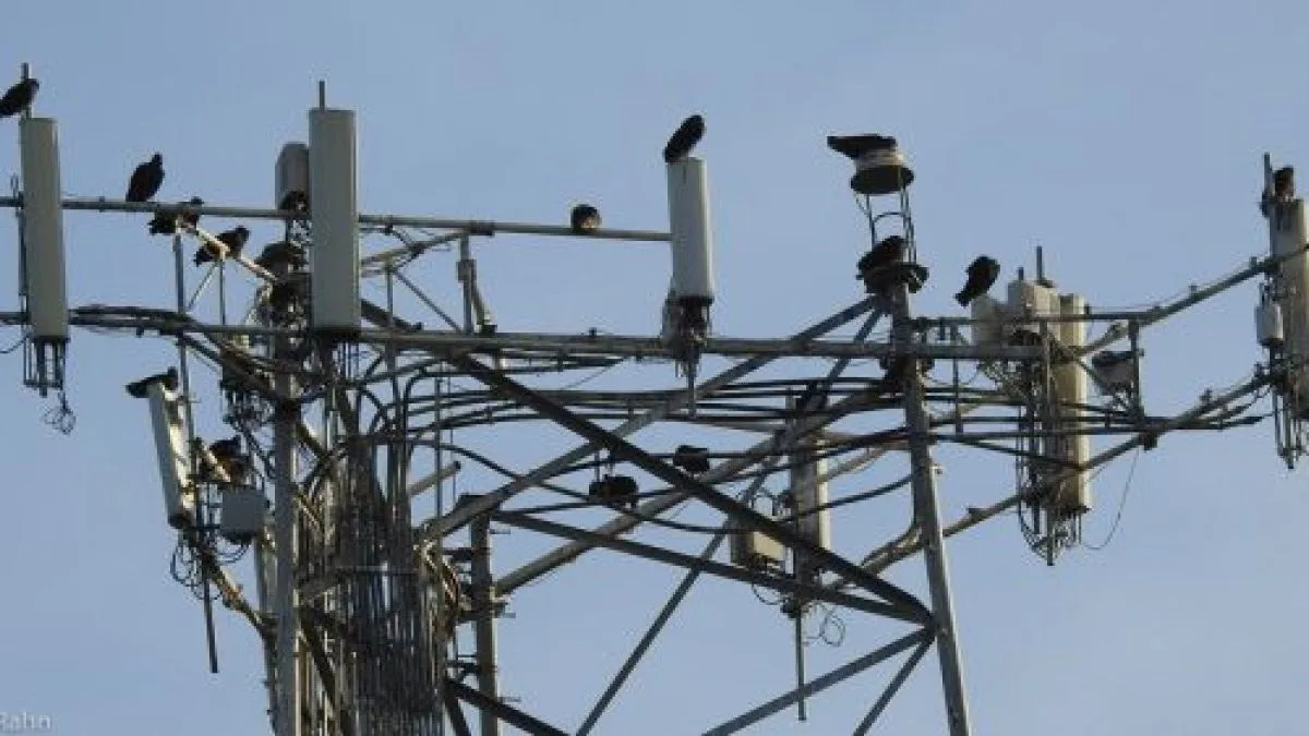 Türkiye'de 5G abone sayısı eylül sonunda 47,6 milyonu aştı